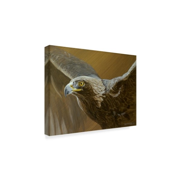 Ron Parker 'Golden Eagle' Canvas Art,35x47